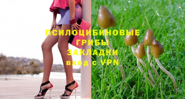 мет Аркадак