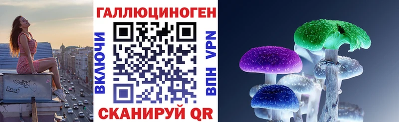 Псилоцибиновые грибы Psilocybine cubensis Кондопога